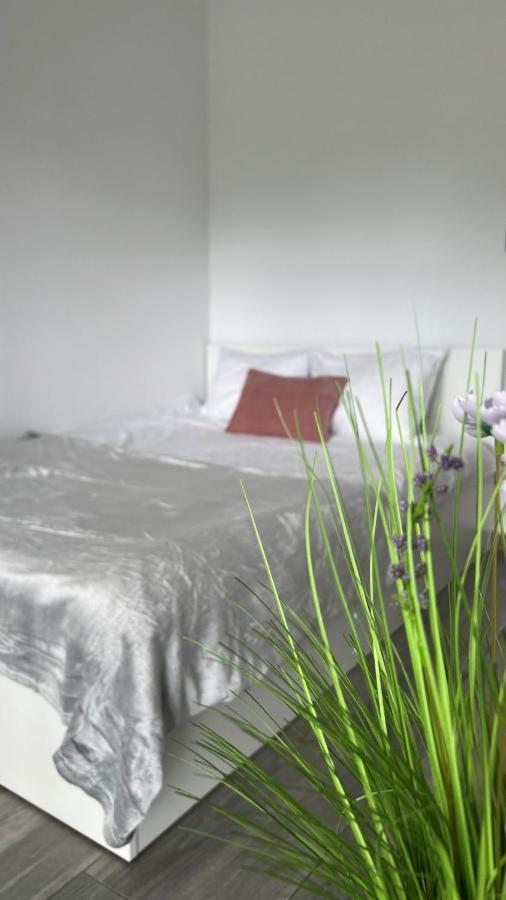 זאטור Apartamenty Izabell By Housine מראה חיצוני תמונה